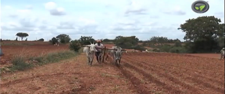Dry land farming