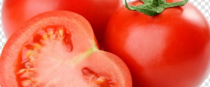 tomato tamatar modern kheti