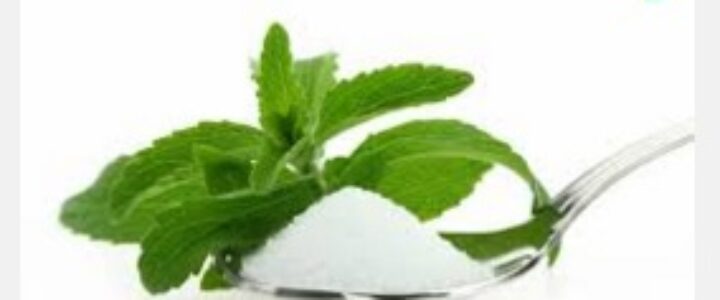 Stevia Farming Steevia ki kheti modern kheti
