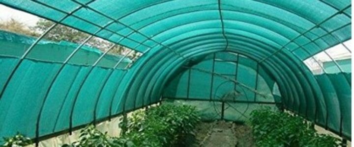 green net shed
