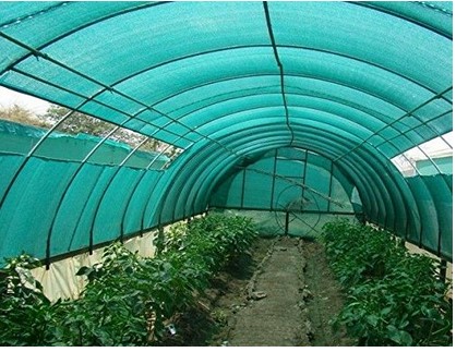 Green House for Home Garden Kitchen Garden