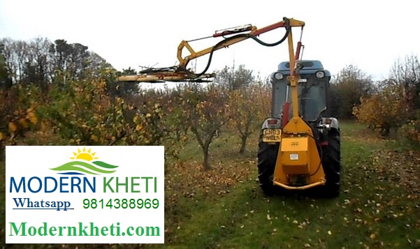 orchard pruning machine बागवानी में कटाई करने की मशीन