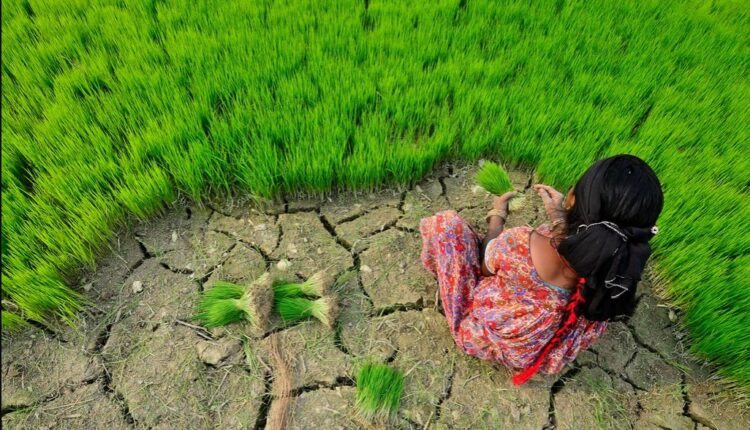 climate change effect on agriculture