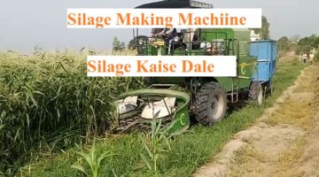 How to Make Silage | Silage Making Machine | पशु अचार की जानकारी