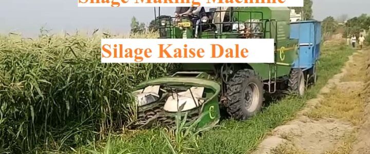 How to Make Silage | Silage Making Machine | पशु अचार की जानकारी
