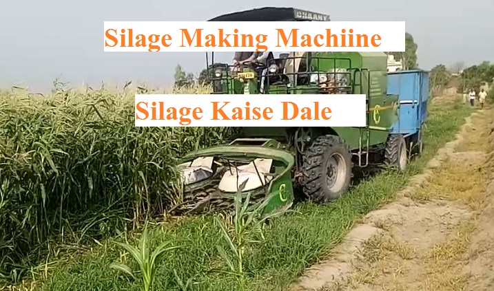 How to Make Silage | Silage Making Machine | पशु अचार की जानकारी