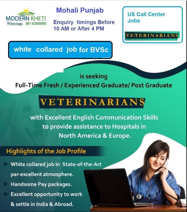 veterinary jobs bvsc