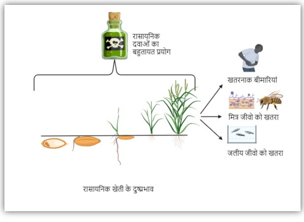 Side effects of chemical farming and its solutions