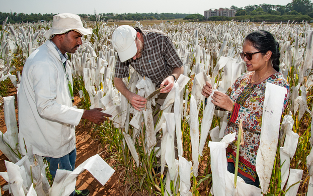 PLI Scheme for boosting R&D in Agriculture.