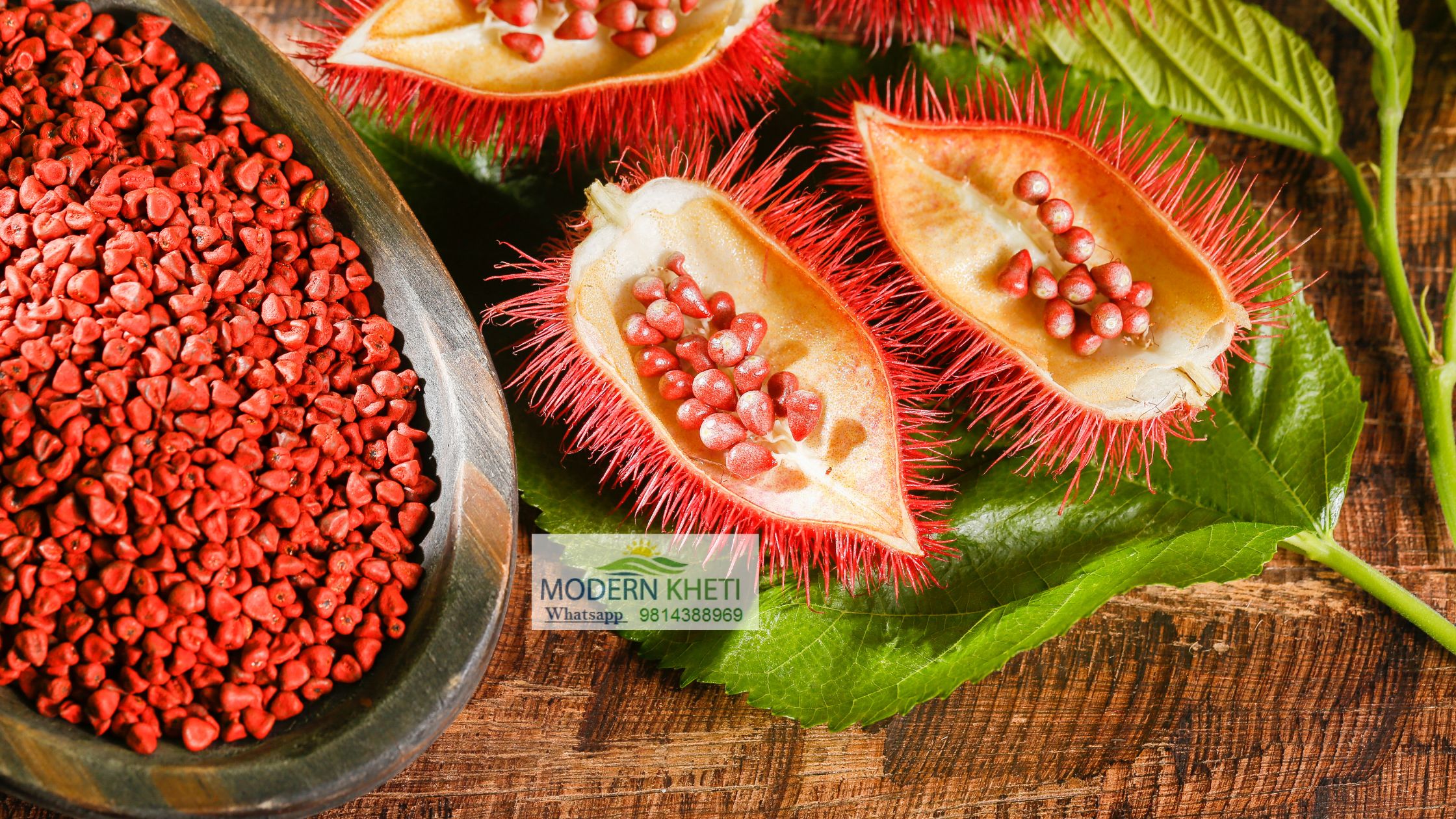 Discover the Health Benefits of Annatto